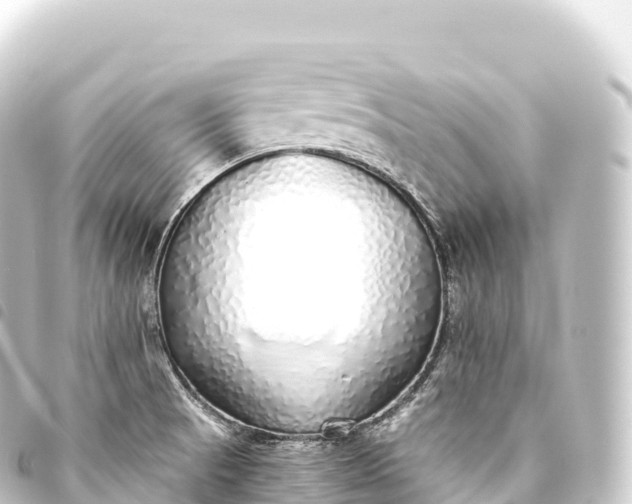 X0000093771521200710301155