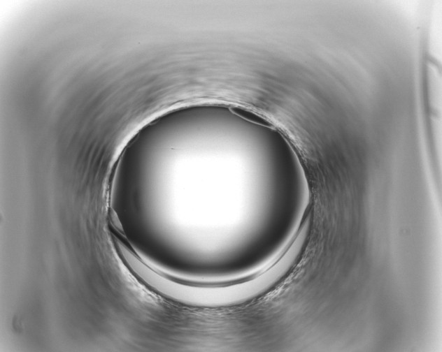 X0000093771524200710301155