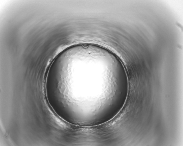 X0000093771525200710301155