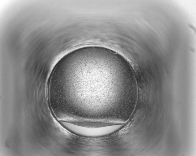 X0000093771527200710301155