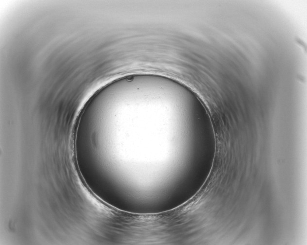 X0000093771531200710301155