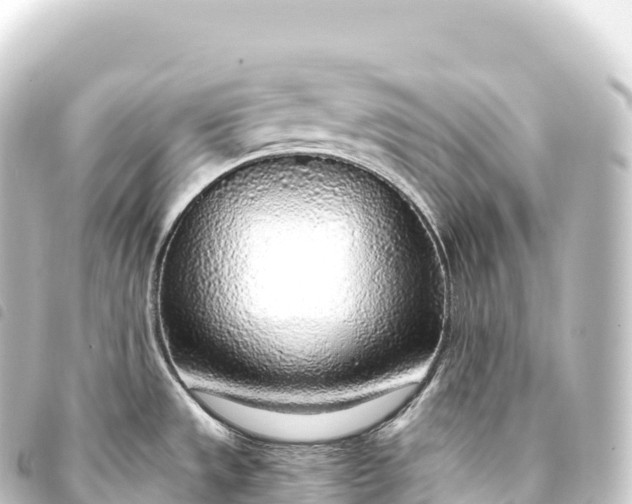 X0000093771533200710301155