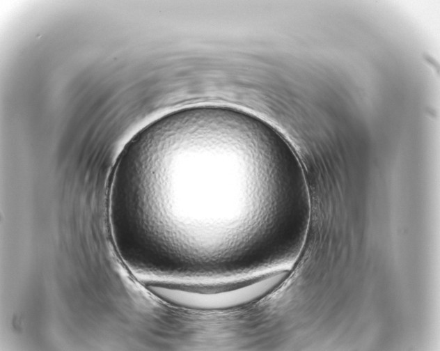 X0000093771534200710301155