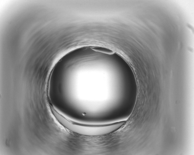 X0000093771536200710301155