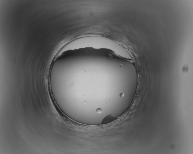 X0000093770003200711061145