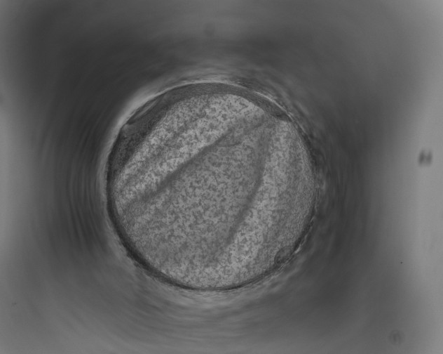 X0000093770006200711061145