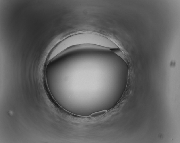 X0000093770007200711061145