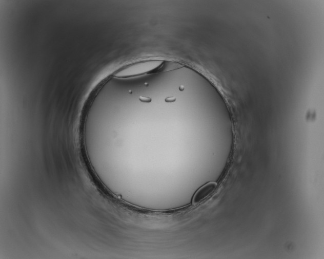 X0000093770008200711061145