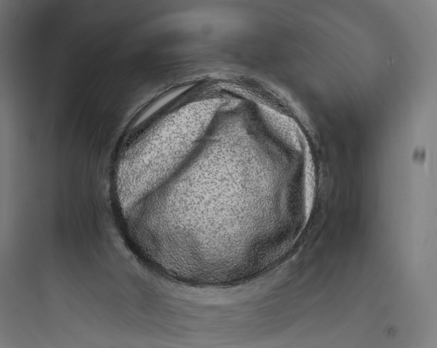 X0000093770010200711061145