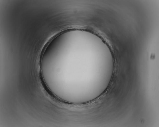 X0000093770011200711061145