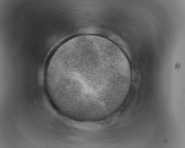 X0000093770012200711061145