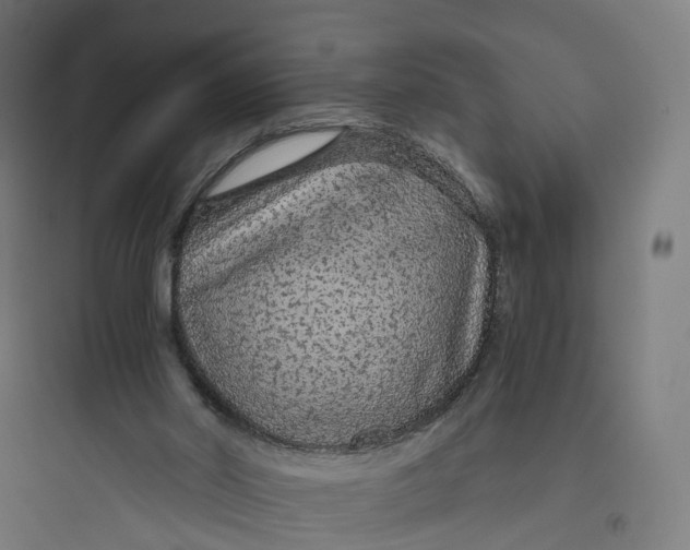 X0000093770014200711061145