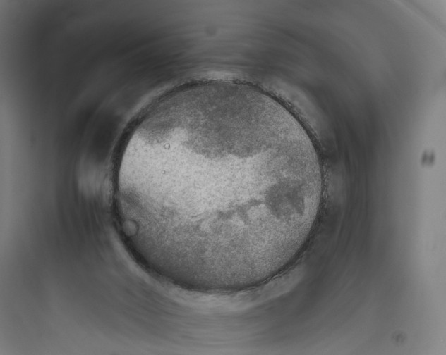 X0000093770016200711061145