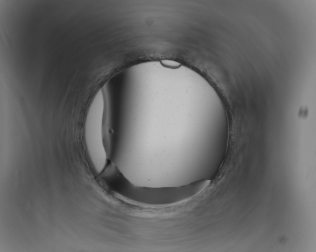 X0000093770017200711061145