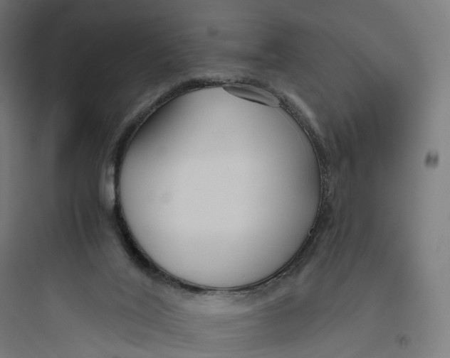 X0000093770020200711061145