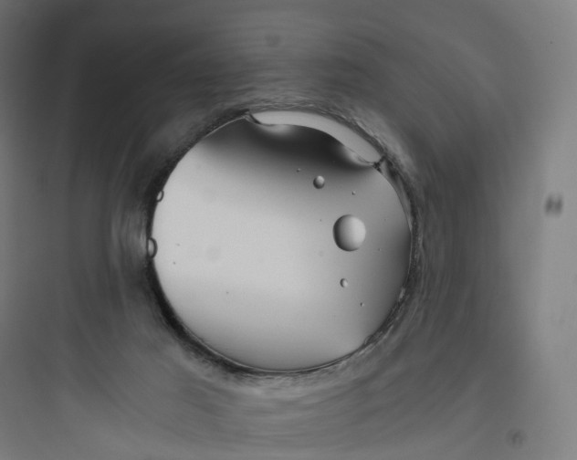 X0000093770021200711061145