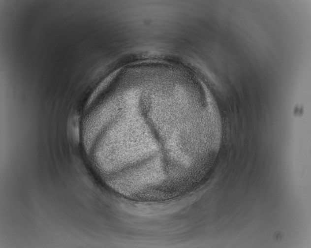 X0000093770022200711061145