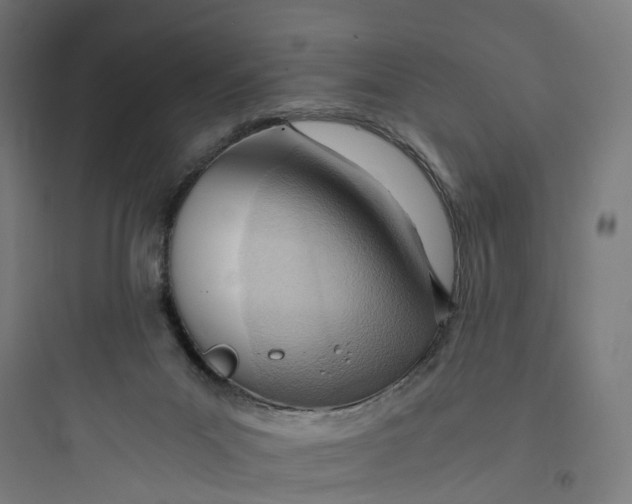 X0000093770023200711061145