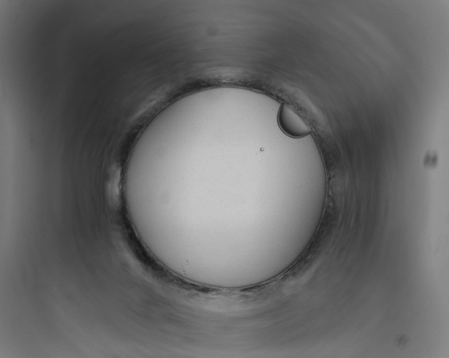 X0000093770024200711061145