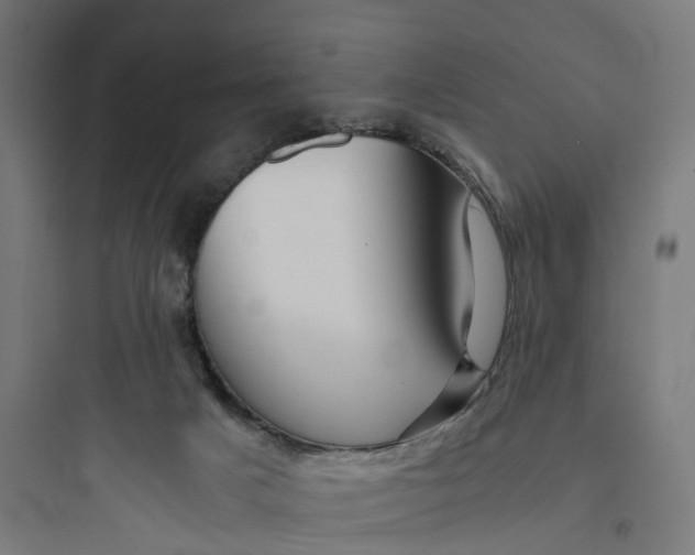 X0000093770025200711061145