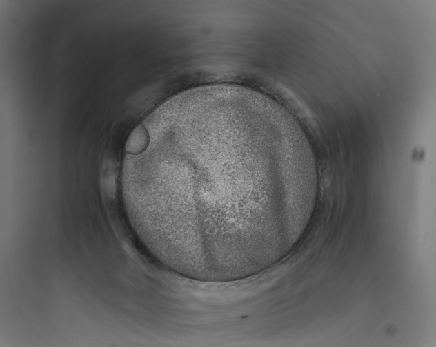 X0000093770026200711061145