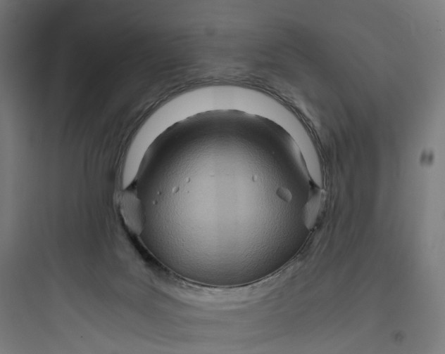 X0000093770027200711061145