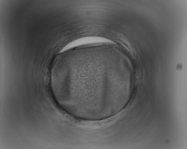 X0000093770029200711061145