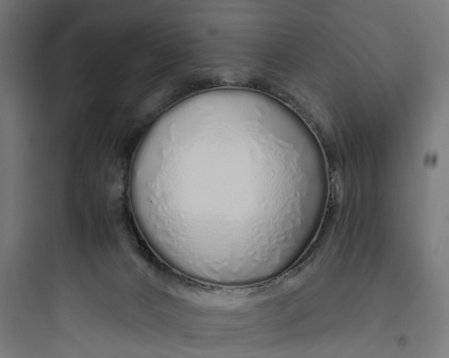 X0000093770032200711061145