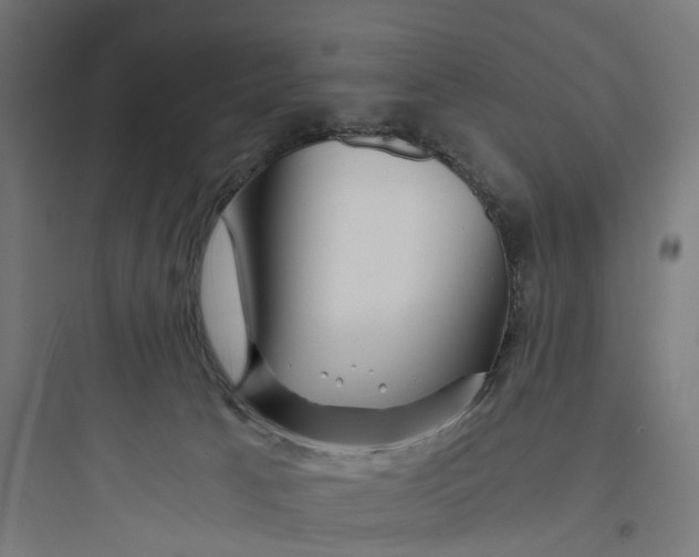 X0000093770033200711061145