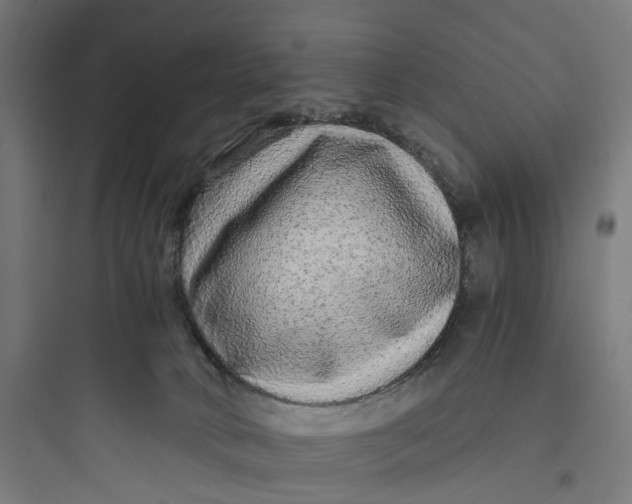 X0000093770034200711061145