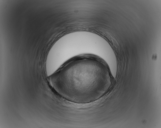 X0000093770035200711061145