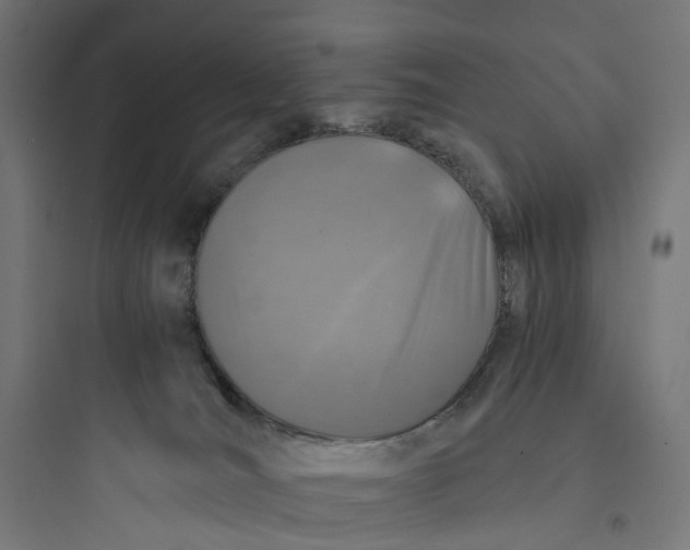 X0000093770036200711061145