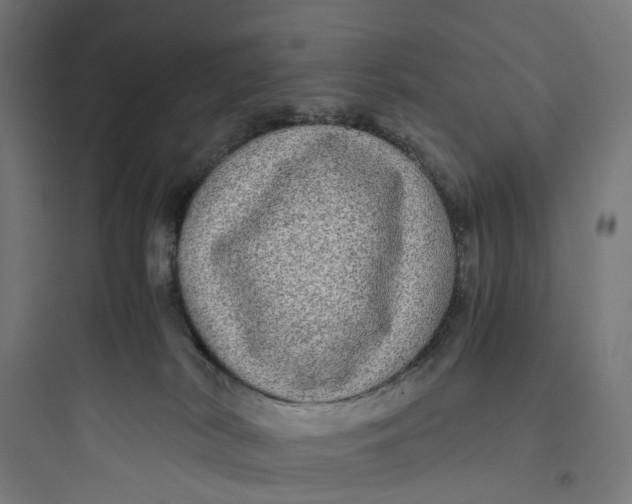 X0000093770038200711061145