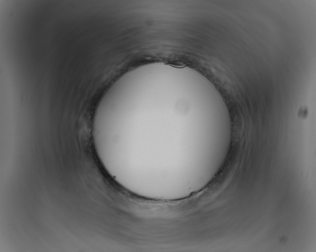 X0000093770040200711061145