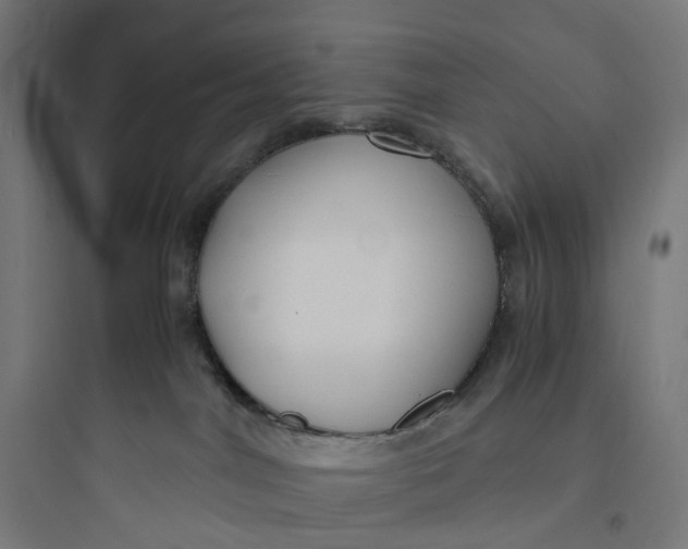 X0000093770044200711061145