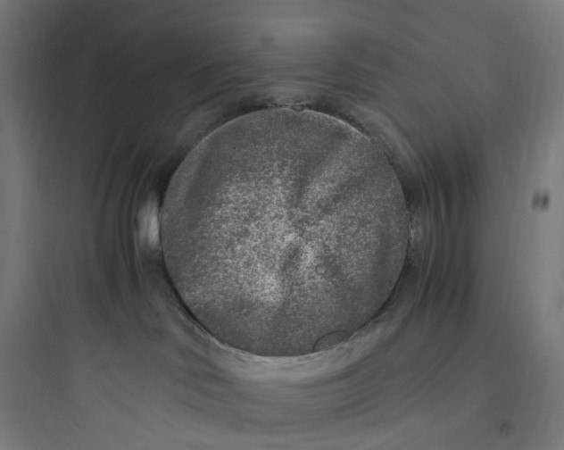 X0000093770046200711061145