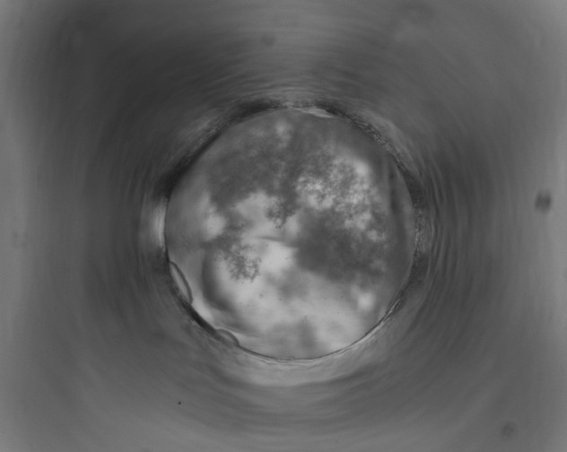 X0000093770047200711061145