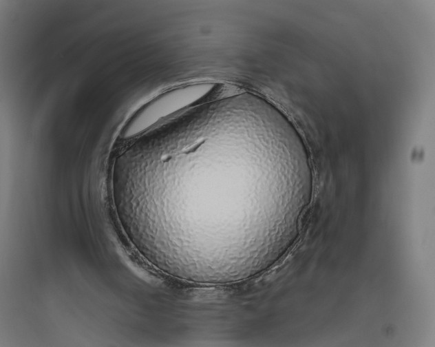 X0000093770050200711061144