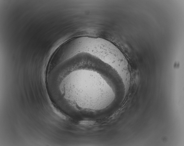 X0000093770051200711061144