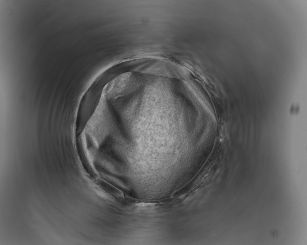 X0000093770052200711061144