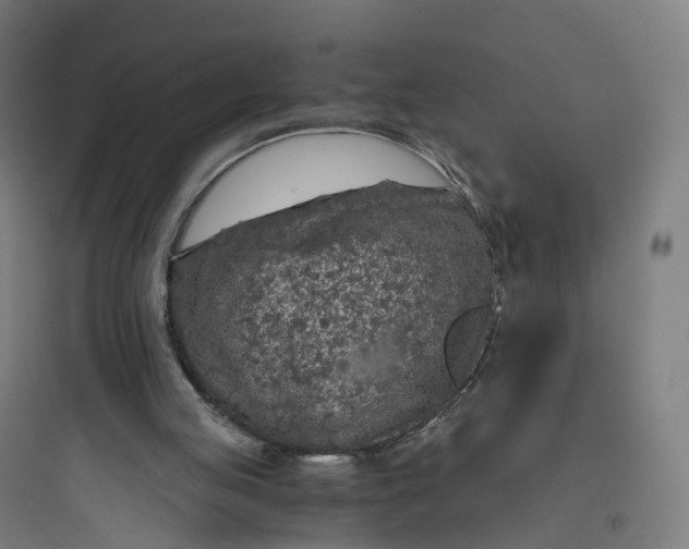 X0000093770053200711061144