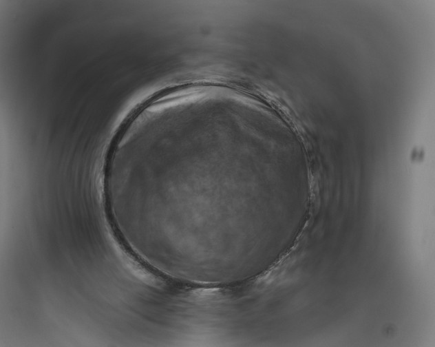 X0000093770054200711061144