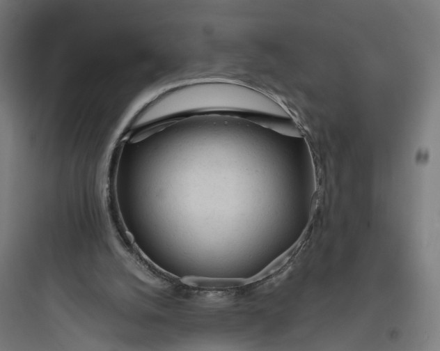 X0000093770056200711061144