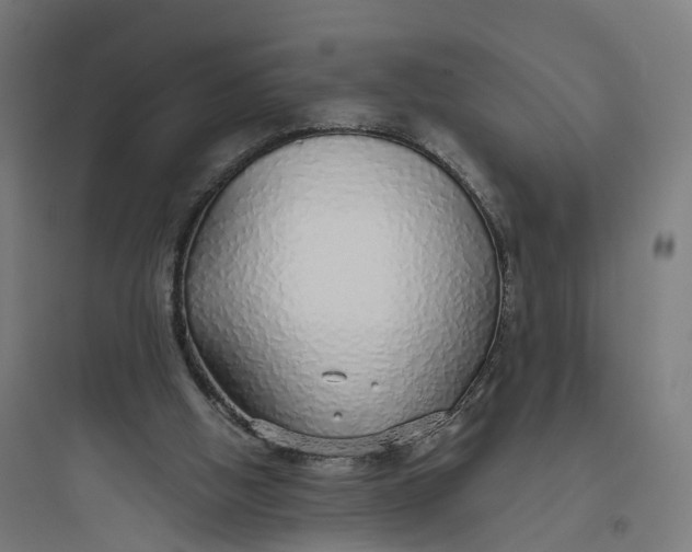 X0000093770058200711061144