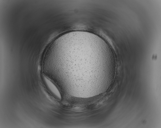 X0000093770059200711061144