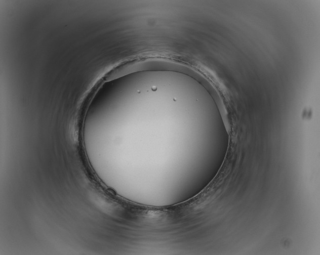 X0000093770060200711061144