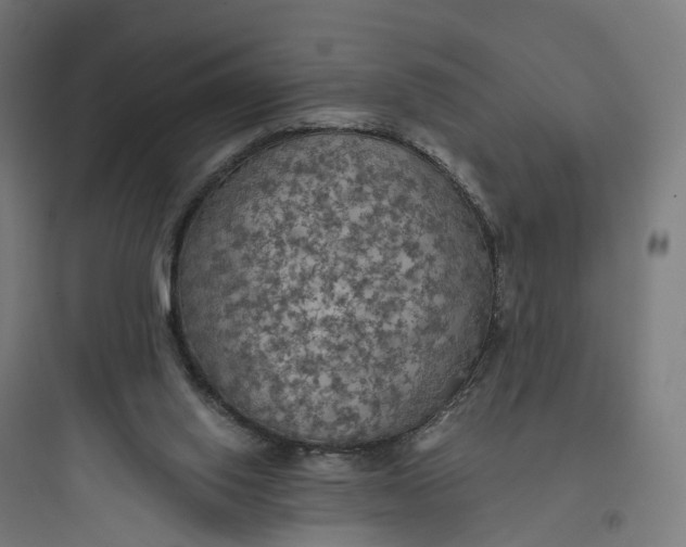 X0000093770062200711061144