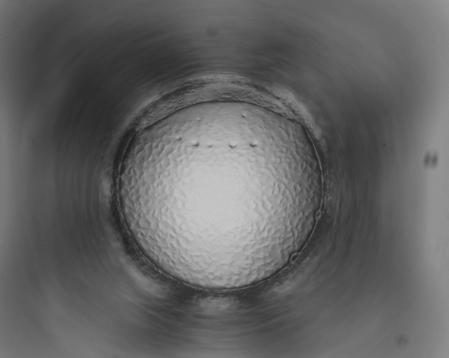 X0000093770063200711061144