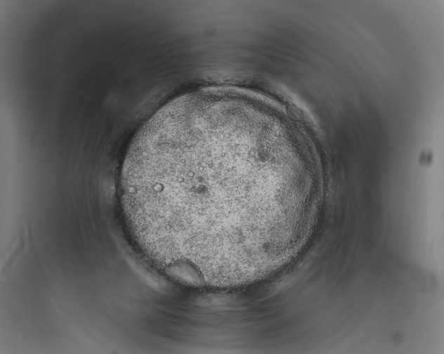 X0000093770065200711061144