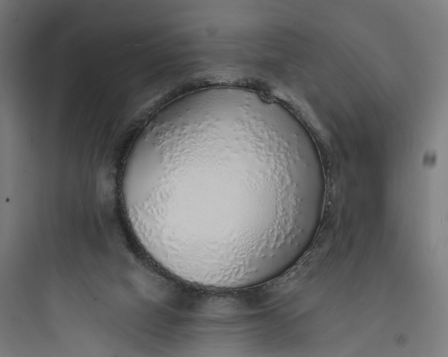 X0000093770066200711061144